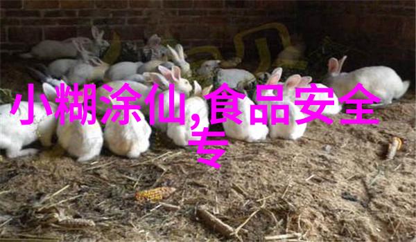 独家推荐全球十大必尝特色小吃