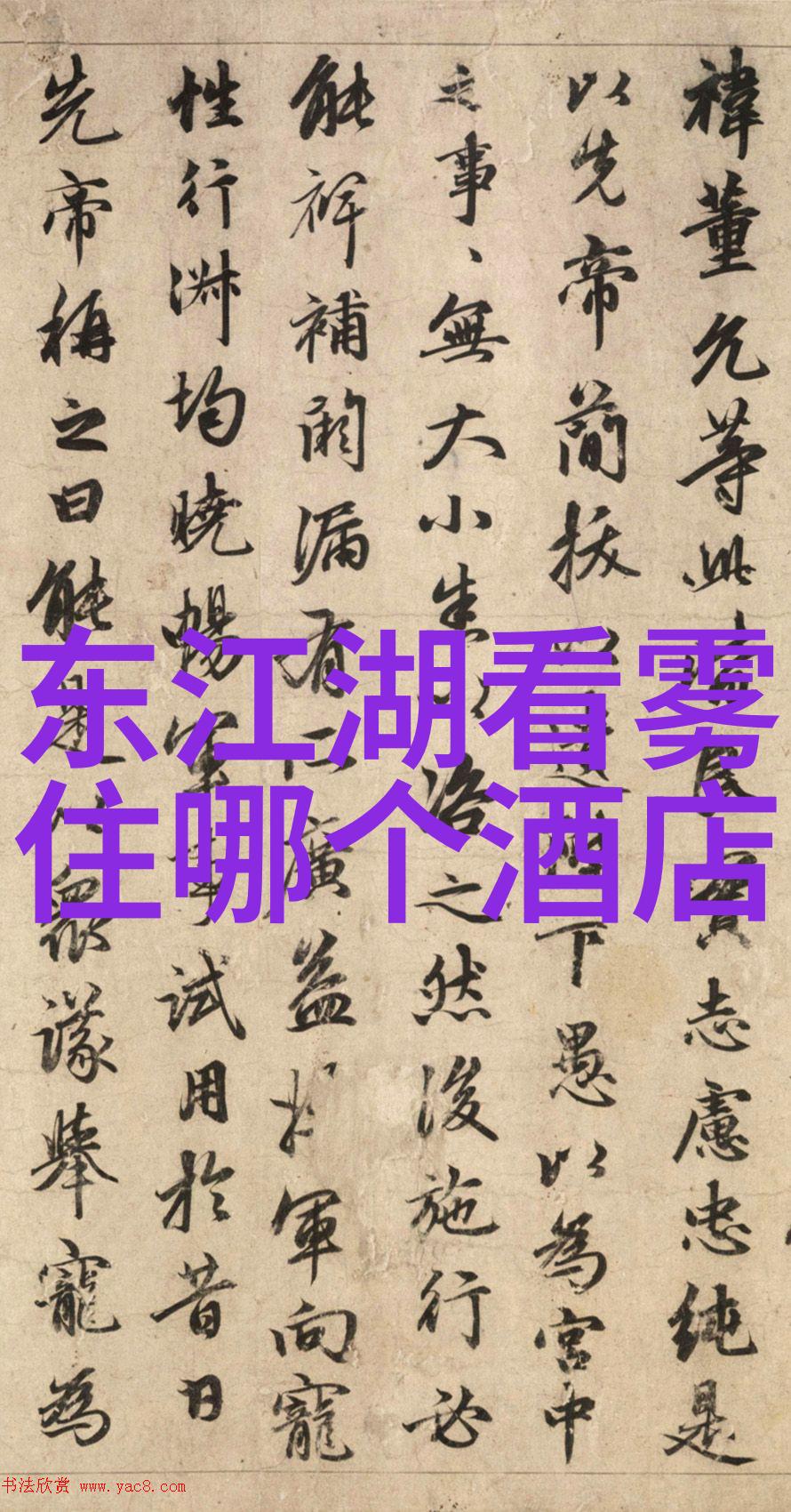 云端漂泊 空中小姐的一天飞翔中的快乐与挑战