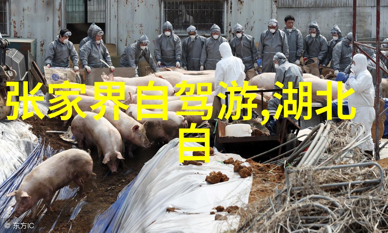 2022年最受欢迎的骑行软件排行榜探索运动爱好者的首选应用程序