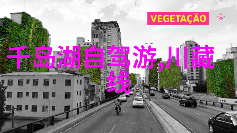 绿色校园活力童年大班幼儿户外活动指南
