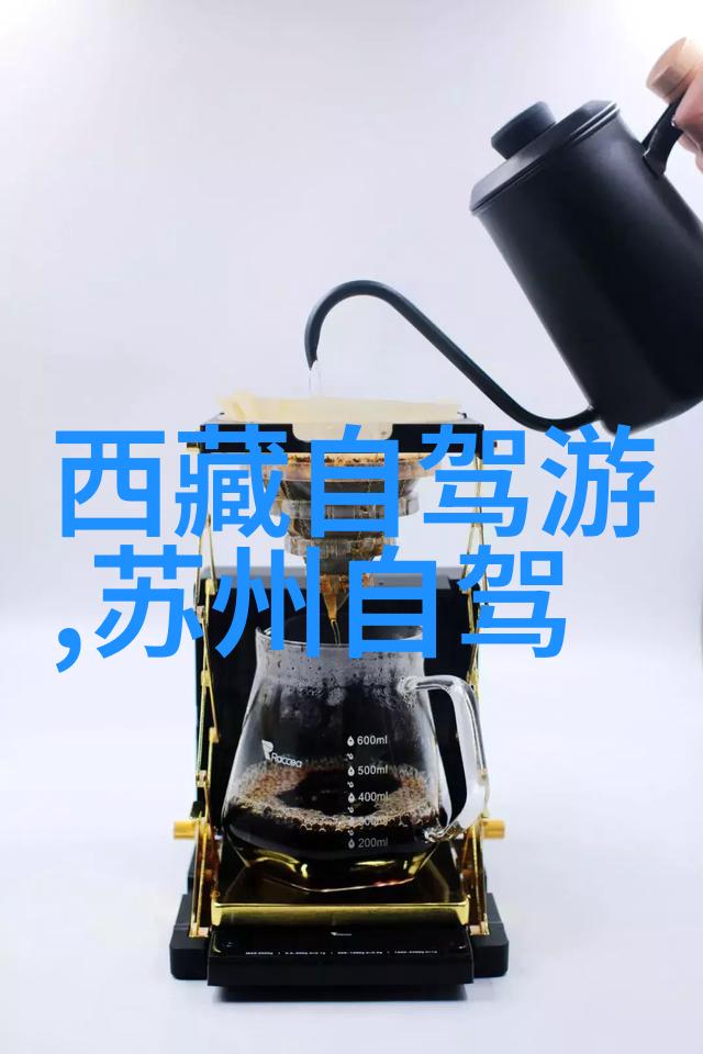 乌镇旅游攻略自由行 - 漫步古桥品味水乡探索乌镇的精髓自由行指南