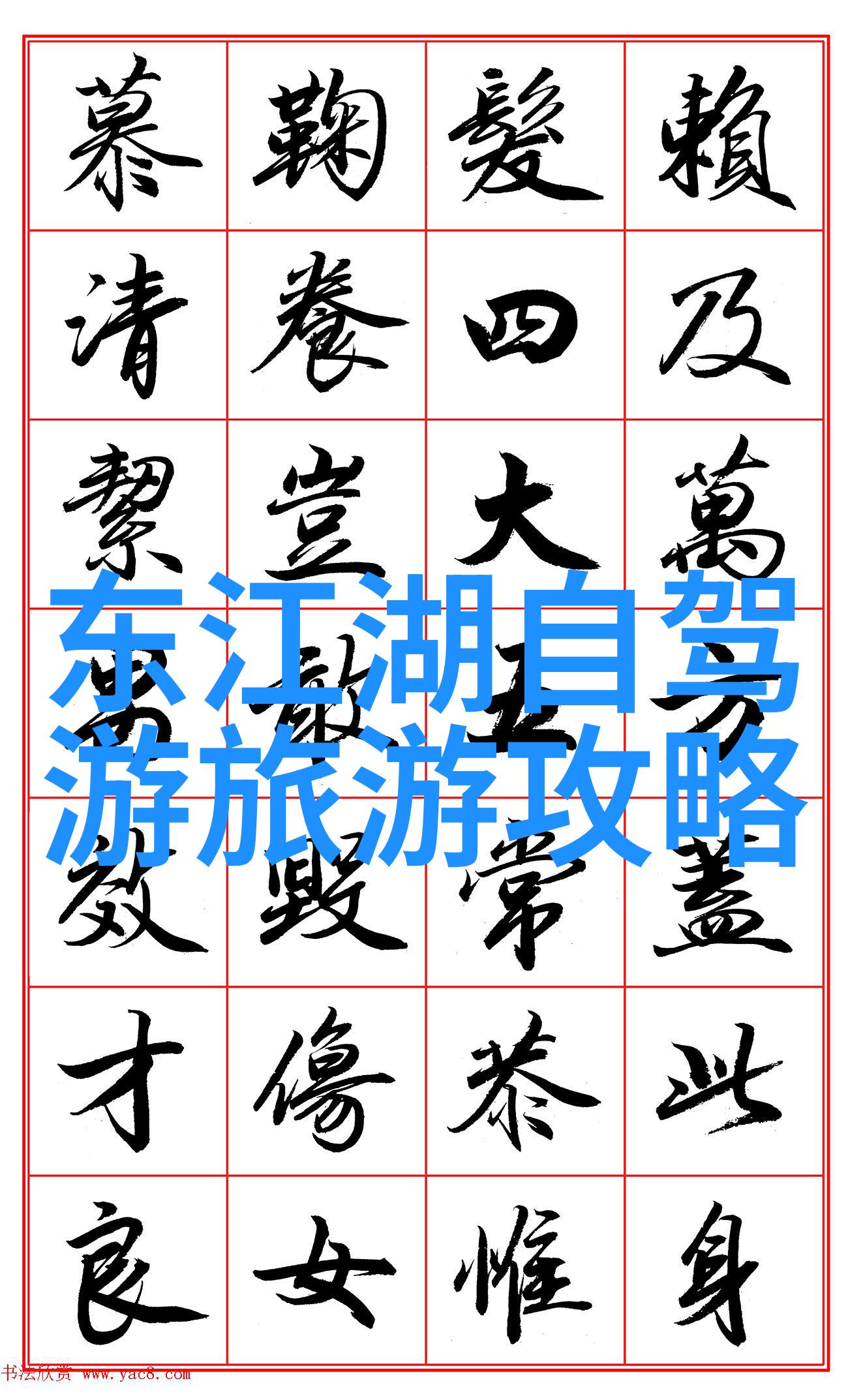 自行车论坛骑行人生追逐梦想的轮廓在何方