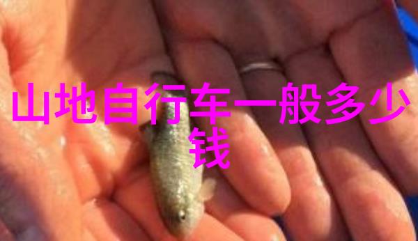 夏日童趣之旅七月哪些城市最适合带孩子游玩