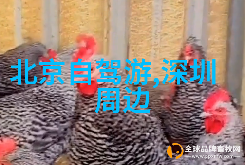 庐山自驾游与广州当天来回的景点哪些可选
