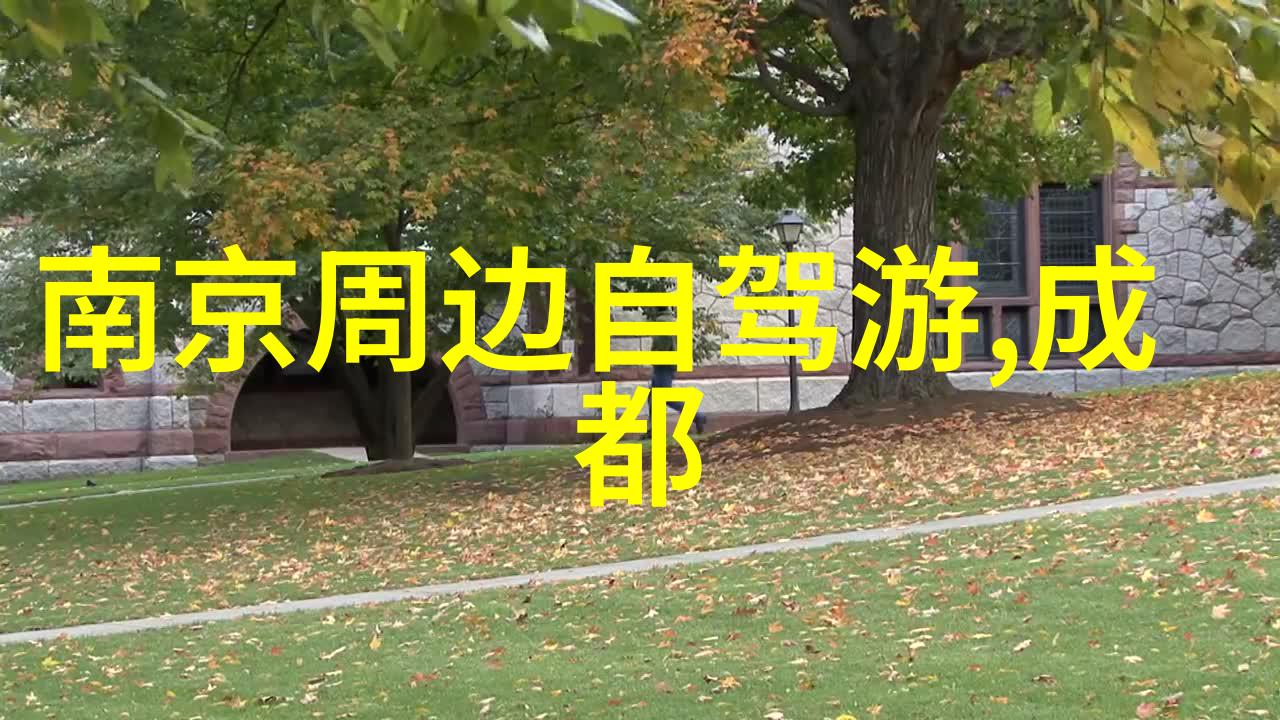 海外之旅重启疫情放缓下出国旅行的新篇章