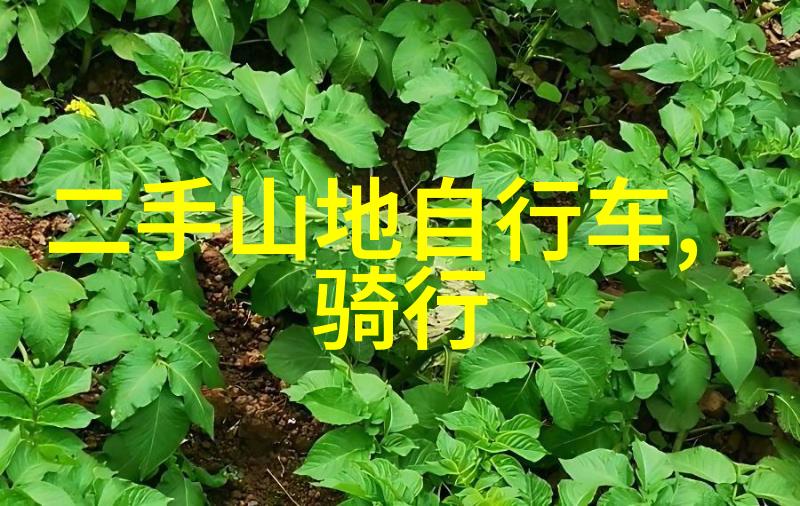 从不一样的角度看拍摄技巧分享记录你的海南省内旅行