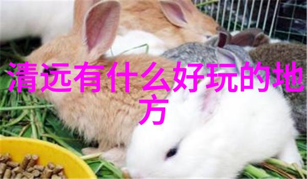 石家庄周边探秘绘卷中的古都与现代璀璨一日游