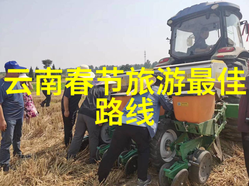一场难忘的旅行游记-探索梦想之地回忆与期待的交响曲