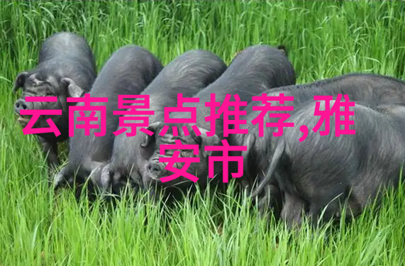 广东自驾游记从潮汕的海鲜到梅州的麻婆豆腐味蕾上的横跨省界