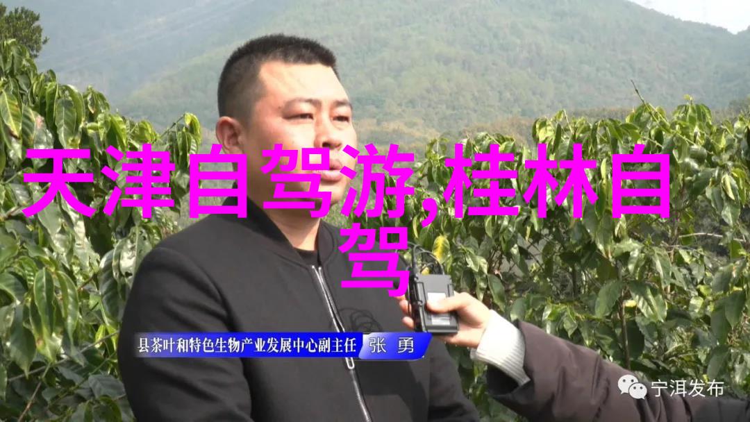 如何体验重庆的夜生活和灯光秀