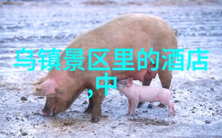 春节黄金周国内游客涌入名胜古迹海外热门景点也迎来探险者