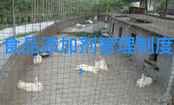 北海旅游攻略必去景点推荐北海风情大道北海公园月牙泉南湖游船
