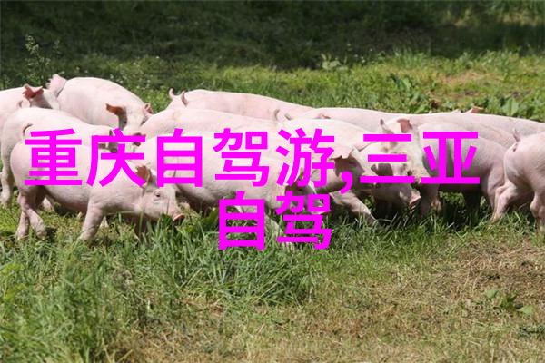 沿海梦想大连自驾游之旅
