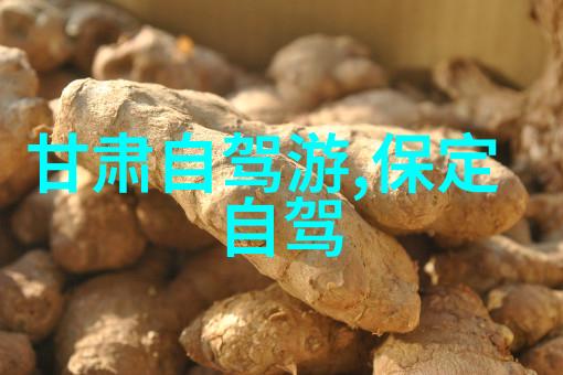 西溪国家湿地公园自然与人文的完美融合