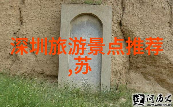 上恋爱综艺翻车后她爆火了从综艺笑话到网红风云她的逆袭故事