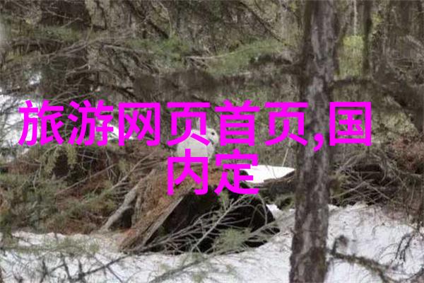 骑行速度挑战一小时20公里是否快速骑行效率提升策略