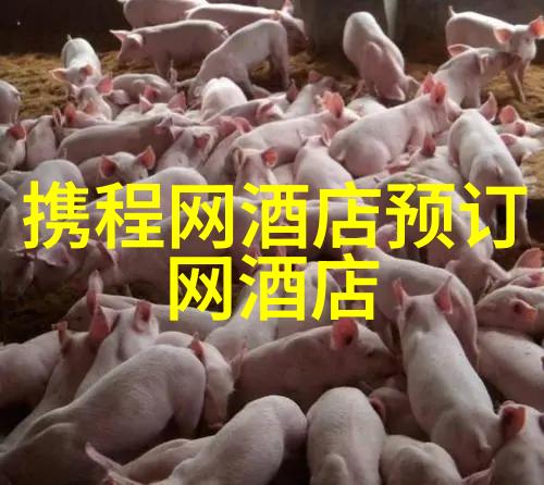 长春净月潭景区旅游野三坡自驾游攻略排比游记