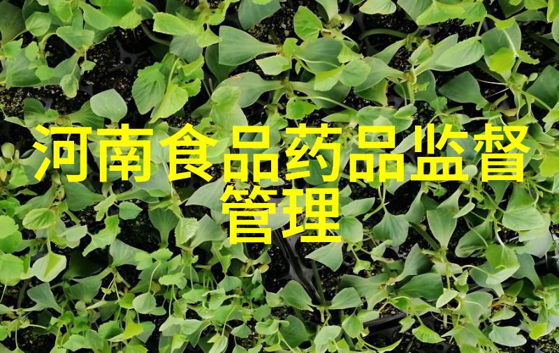 上海环线路线一条探索城市外围魅力的自驾行程