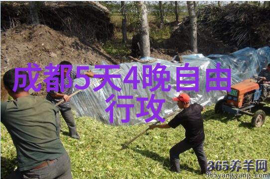 探索精选旅行社三日游线路报价全解析