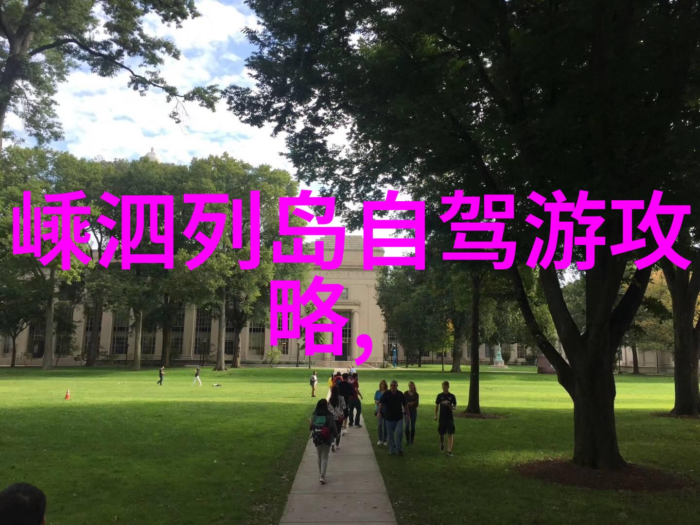 沙漠之翼下的梦想轨迹