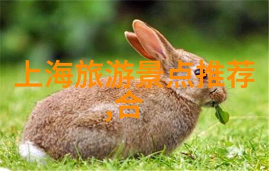 如何确保上海今日无症状居住地址安全专家提醒