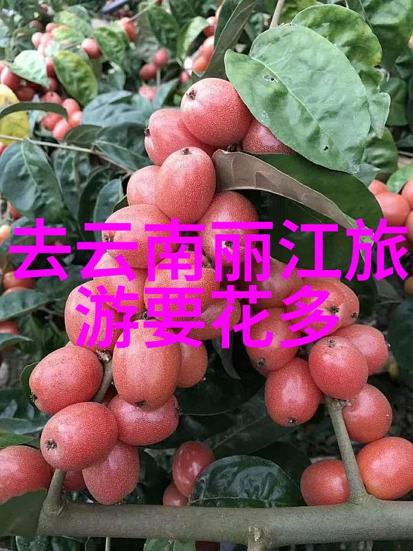 探索淮安乡村魅力公园景点之旅与乡村旅游论文的双重乐趣