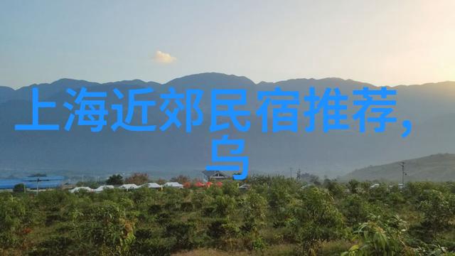 新疆丝路奇遇探索新疆的文化自然与历史