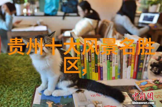罗森美食攻略揭秘便利店的美味之选