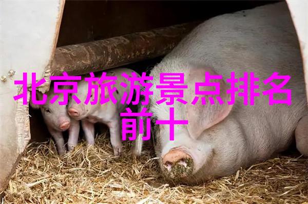 探索四川西昌的美丽风光必游景点指南