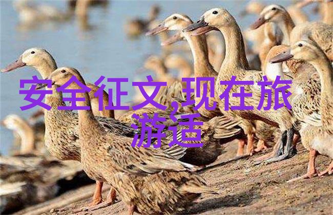 探索世界风情出境旅游线路指南