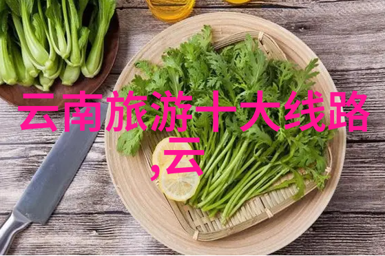上海周边旅游景点推荐 - 探索金山的古韵与现代魅力一日游必去胜地