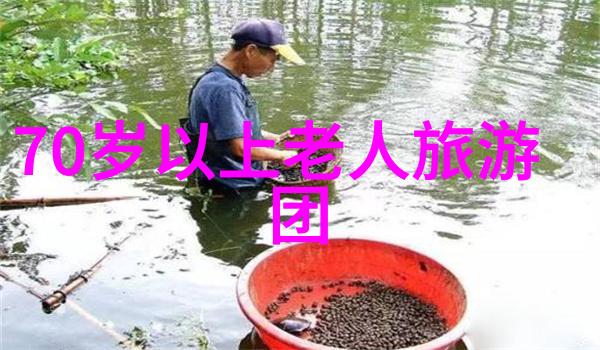 封疆内外探索中国古代边疆管理的智慧与挑战