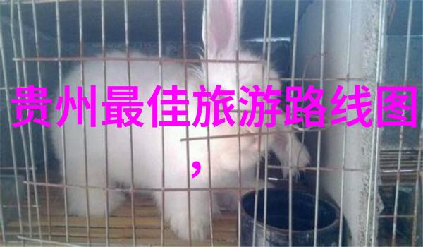 西湖的守护者胶州九兴博物馆之旅