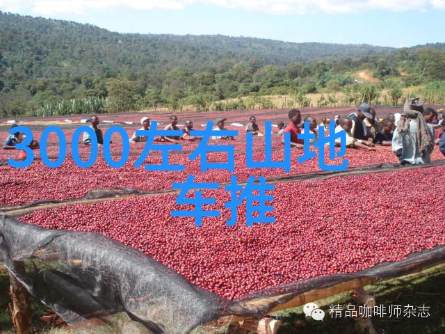 旅游新政引关注全球首例免签证政策对中国游客影响如何