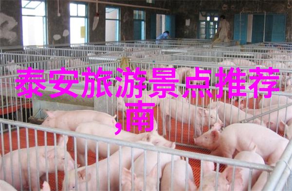 幽冥仙途奇遇探索未知的神秘世界