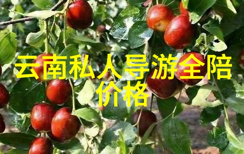 旅游攻略软件-探索最佳行程揭秘最实用的旅游攻略软件