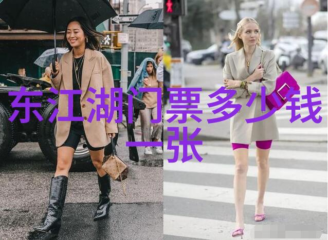 远方的旅途揭秘自驾游必备保险指南