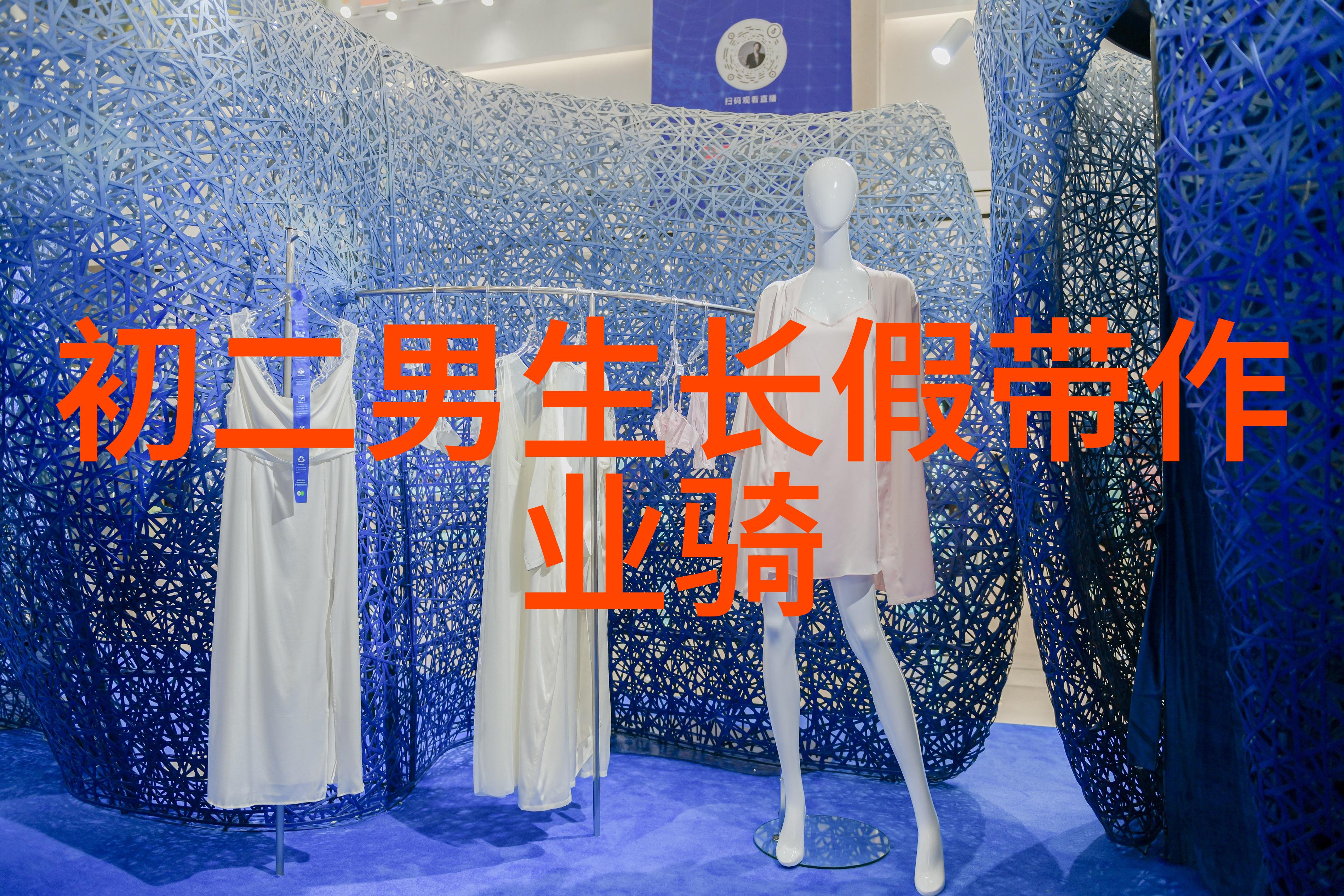 北极之光与森林的梦两人的芬兰奇遇
