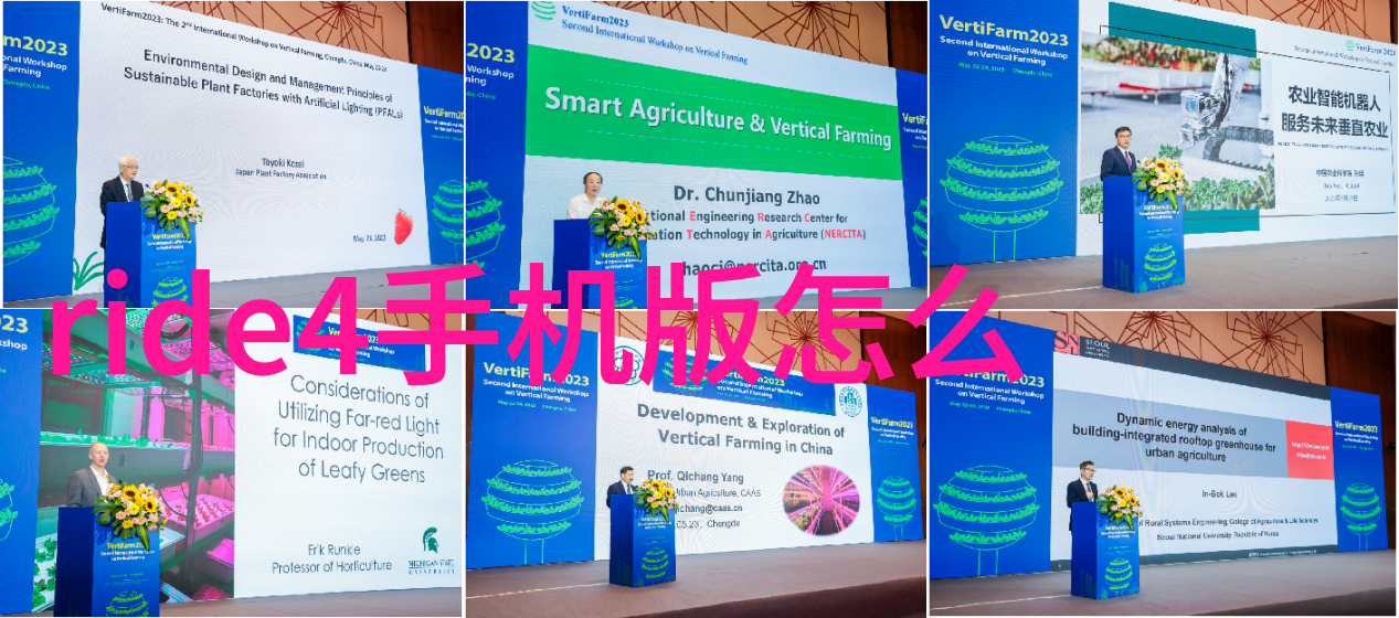 热门活动每年在衡山举办什么样的节庆活动吸引了众多游客呢