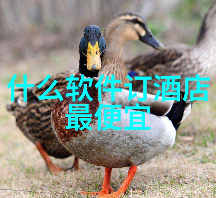宝宝好会夹啊拉丝了视频免费看我家宝贝的超级夹心秘诀你也来试试