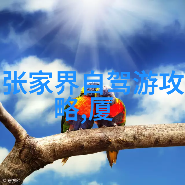 夏日行游8月自驾宝地推荐