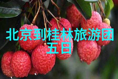 湛江旅行指南寻找海岸线上的宝藏岛屿