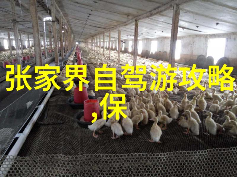小学生户外活动有哪些项目能提高他们的协作能力