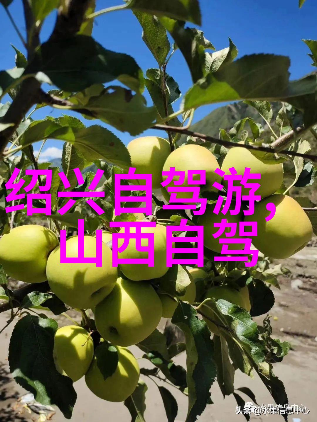 国外旅游探险国际旅行体验