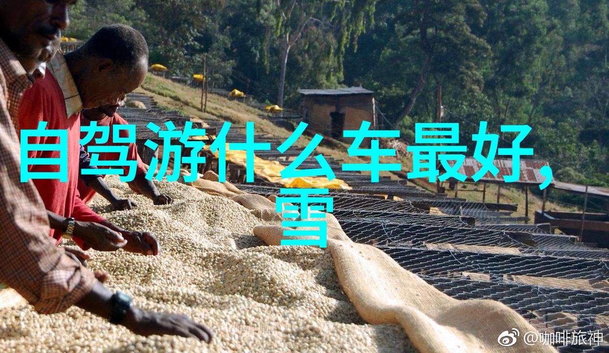 大理怎么玩比较好来看看我这几天的行程安排吧