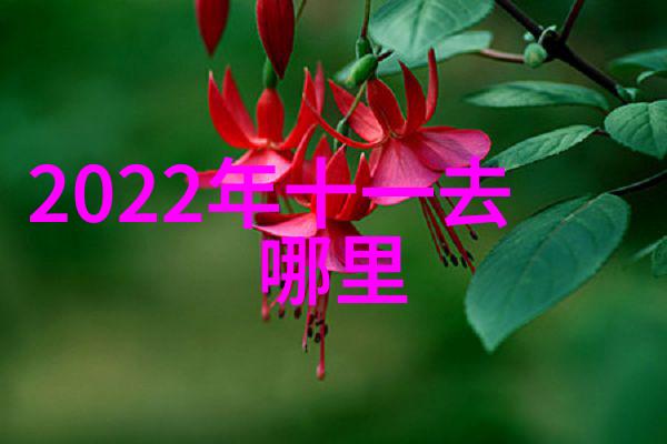 长沙旅游攻略-探索湖南古韵一日游必看景点行程规划