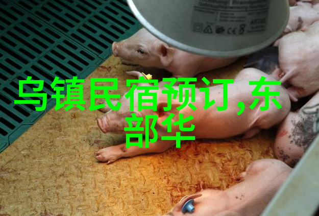 二日游探秘古都跟团体验历史风情