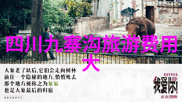 开启旅途选择合适的自驾保险策略