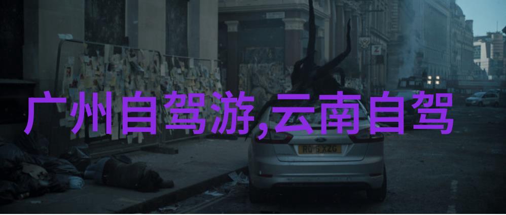 成都私人导游推荐揭秘武汉古德寺的不可忽视禁忌