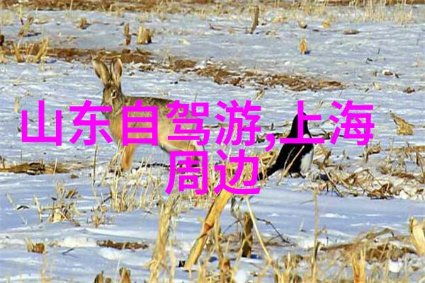 北京周边-探秘京城外围丰富的历史文化与现代生活体验